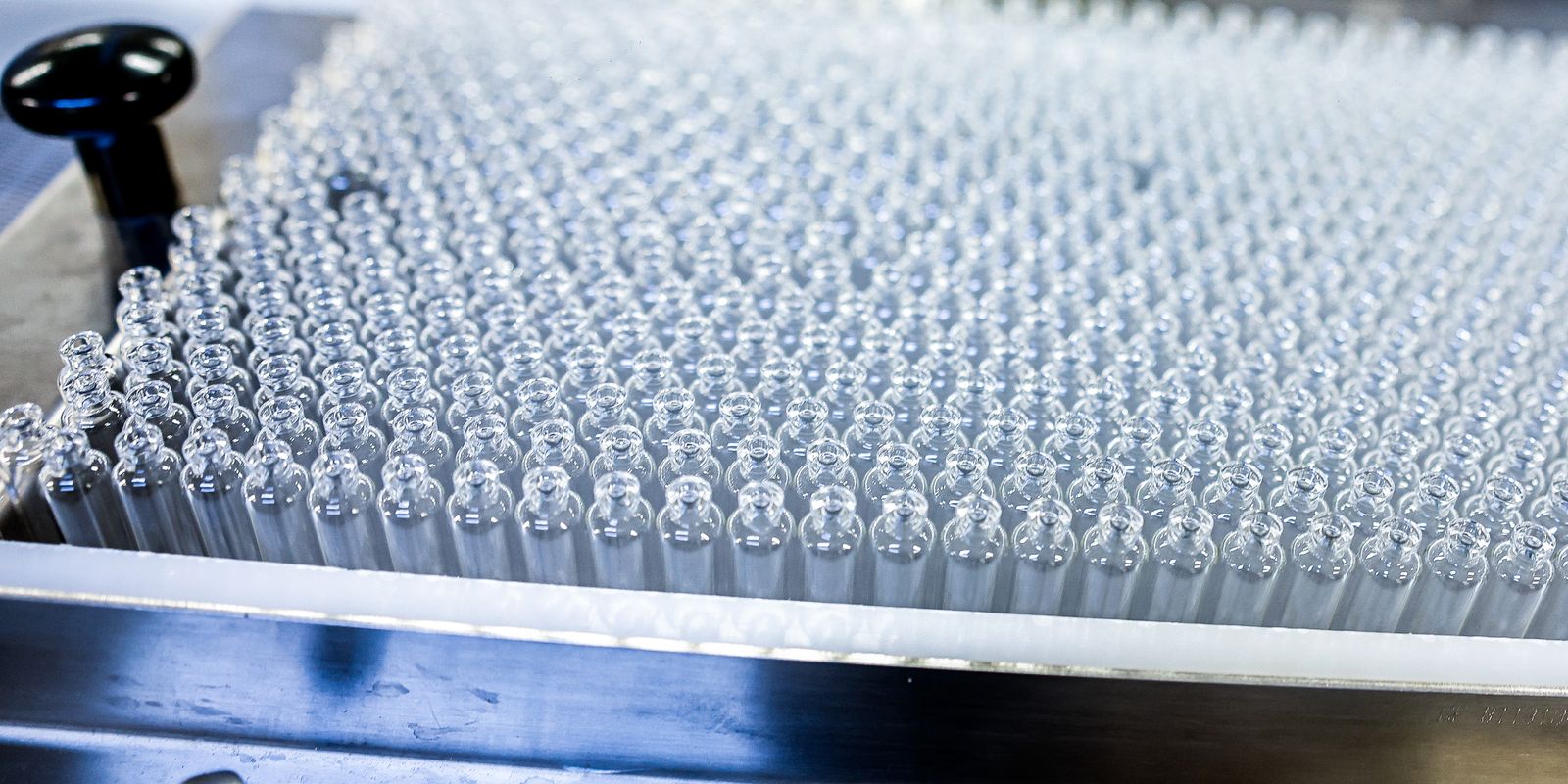 Farmacêutica Novo Nordisk anuncia investimento de R$ 6,4 bi no Brasil