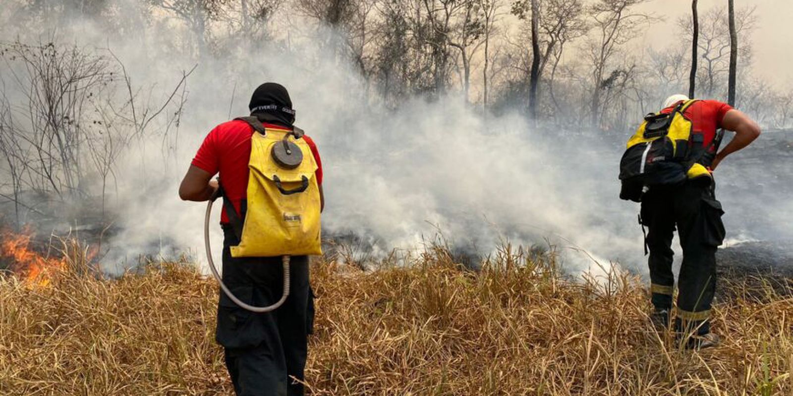 Maranhão terá R$ 45 milhões do Fundo Amazônia para combater incêndios