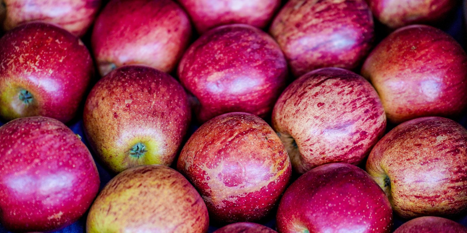 Exportação de frutas cresceu 26% no primeiro trimestre de 2025