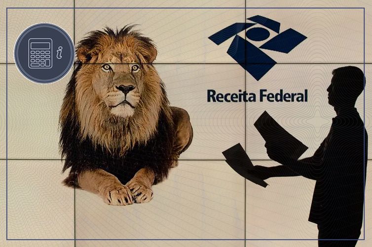Arte/Agência Brasil Brasília (DF), 24/04/2025 - Arte para matéria sobre Tira-Dúvidas do Imposto de Renda 2025. O que acontece se eu não declarar o Imposto de Renda? O que eu faço se eu perder o prazo para declaração do Imposto de Renda? Arte/Agência Brasil