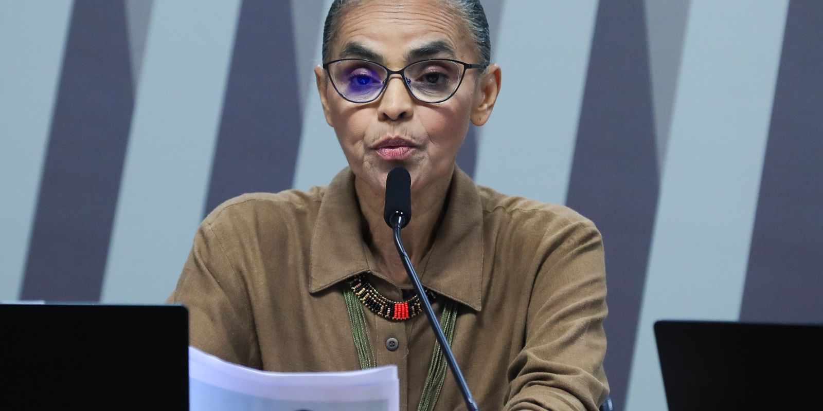 Oposição à proteção ambiental tenta silenciar Marina, diz analista