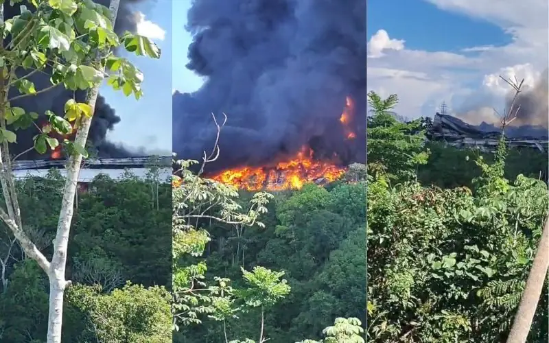 Incêndio que atingiu fábrica na zona leste de Manaus chega à região de mata