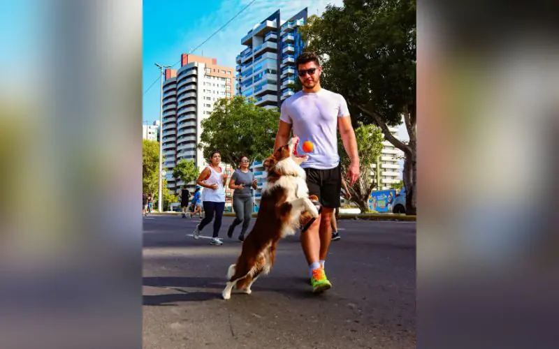Inscrições abertas para a primeira corrida pet de Manaus em novembro