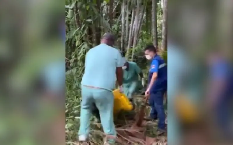 Homem é encontrado morto em área de mata na zona oeste de Manaus