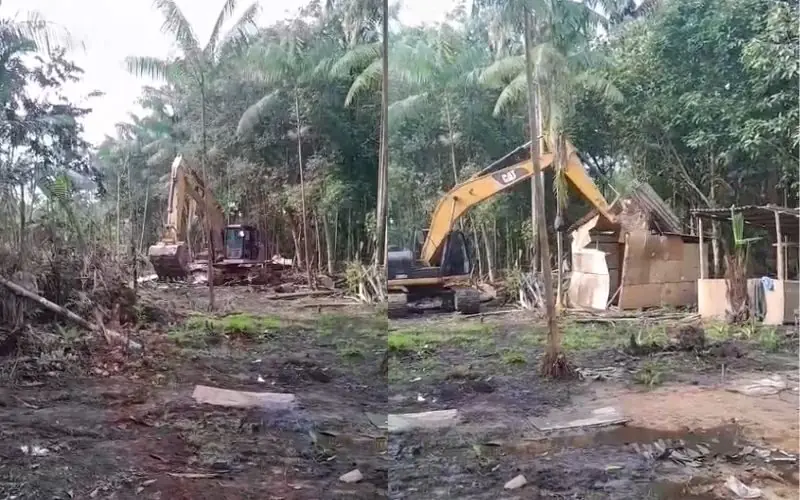 Operação de reintegração de posse remove indígenas do bairro Tarumã