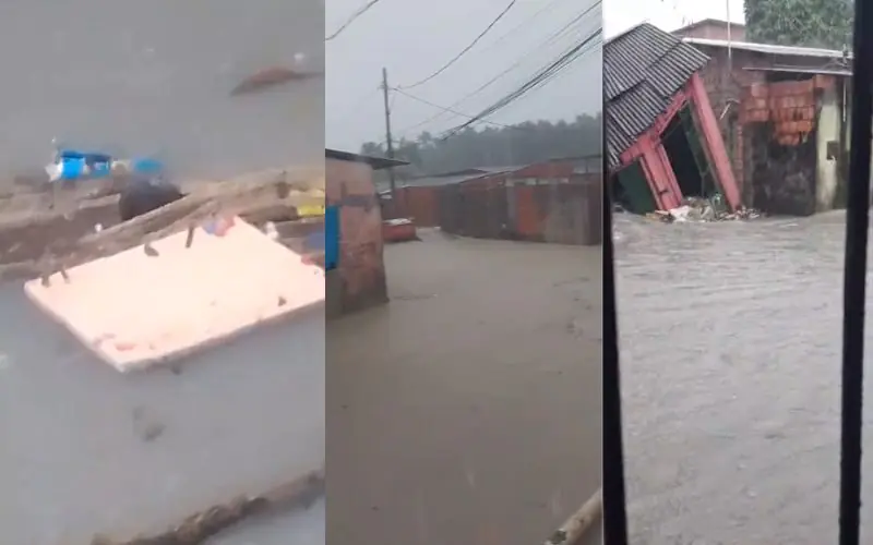 Temporal inunda Manaus e 'ratatouille' viraliza tentando sobreviver