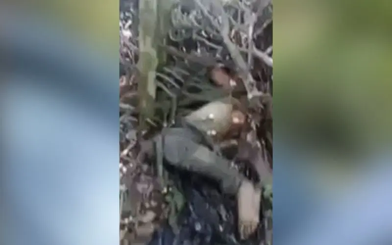 Corpo com sinais de tortura é encontrado no bairro Tarumã