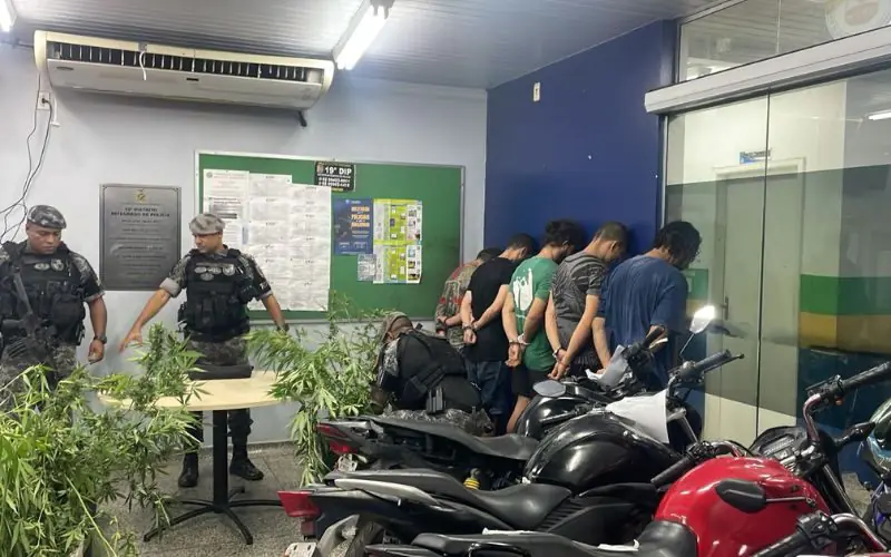 Polícia prende suspeitos com 50 pés de maconha no bairro Tarumã