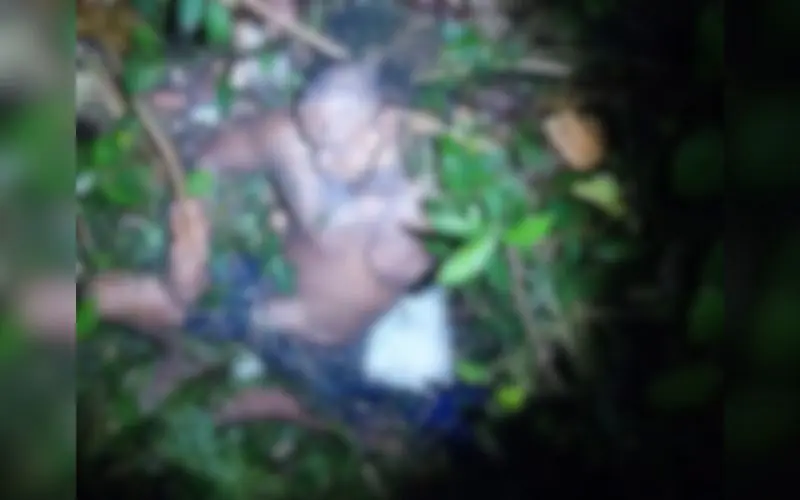 Homem é torturado até a morte em área de mata no São Geraldo