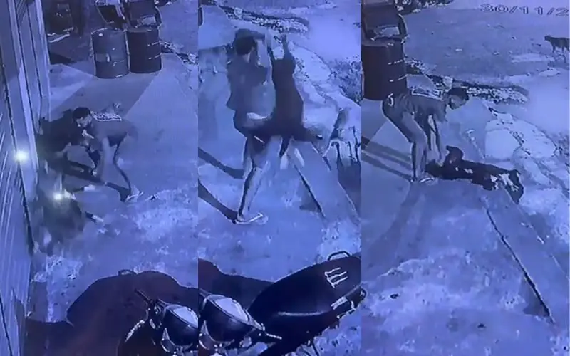 Vídeo mostra homem espancando cachorro até a morte em Borba