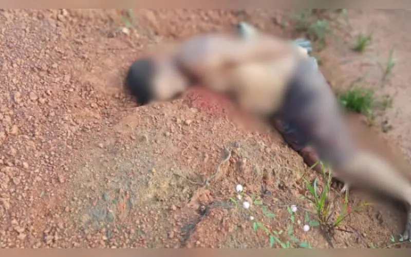 Corpo com sinais de execução é encontrado em Autazes