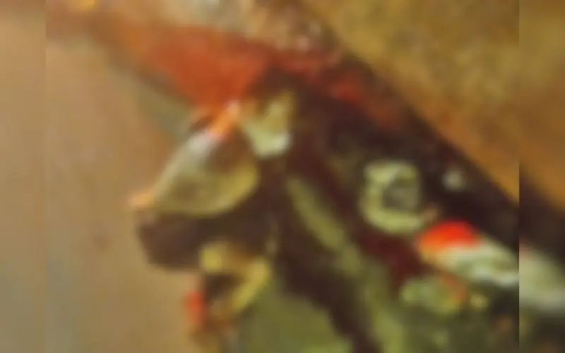 Homem é sequestrado, torturado e morto no Colônia Terra Nova