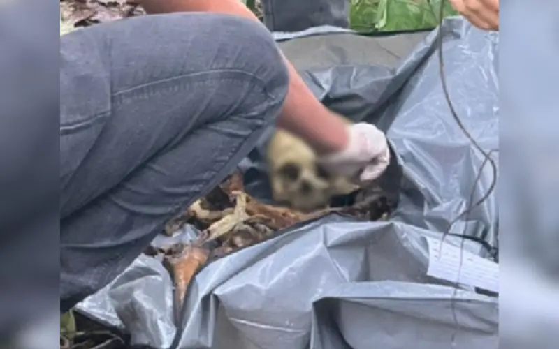 Pai encontra ossada do próprio filho que desapareceu em 2021