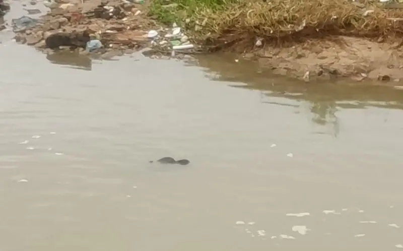 Após briga com 'cracudos', homem é encontrado morto em igarapé