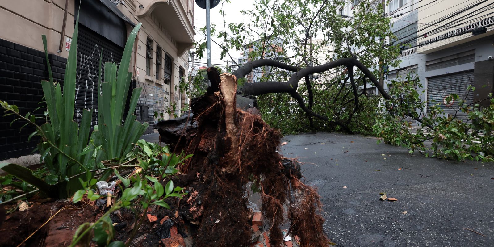 São Paulo enfrenta ventos de quase 100 km/h nesta quarta-feira