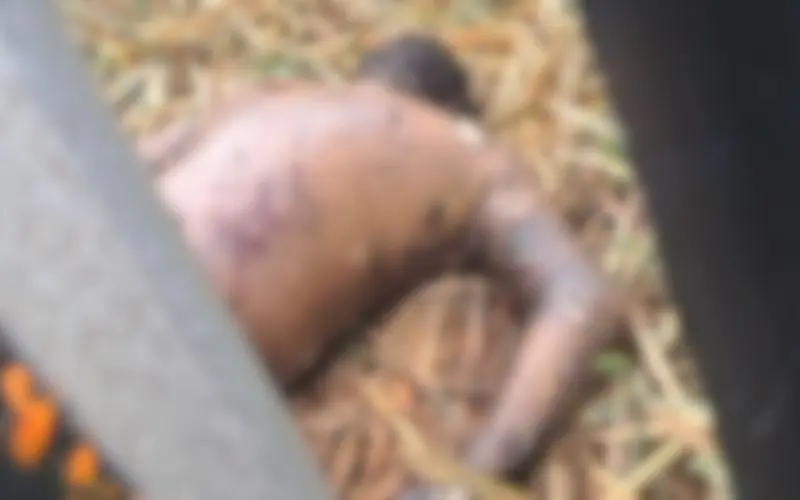 Homem tem a cabeça esmagada a golpes de terçado no Tarumã