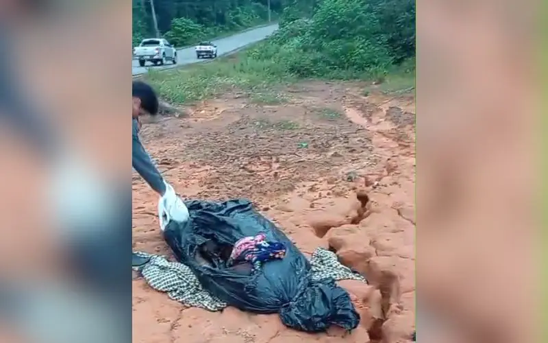 Corpo enrolado em lona é encontrado em Manacapuru, na AM-352