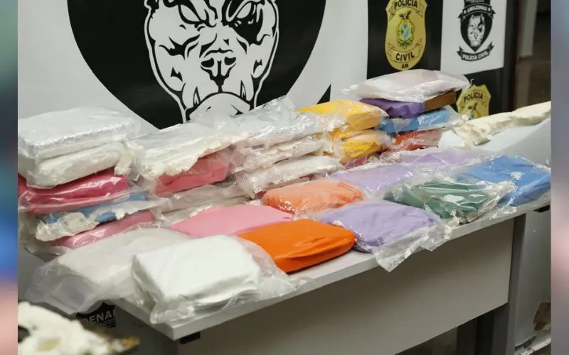 PC-AM e Receita Federal apreendem R$ 1 milhão em maconha escondida em freezer