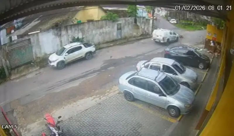 PM afasta policiais após viatura atropelar e matar dois cães em Manaus