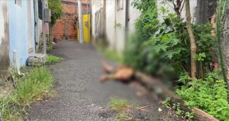 VÍDEO: Corpo de homem é encontrado em beco em Manaus