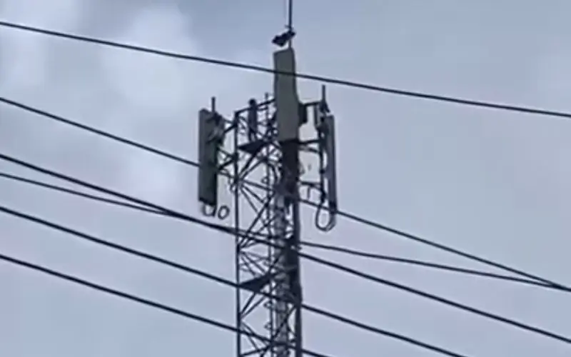 Curumins desafiam a altura e escalam torre de telefonia em Maués