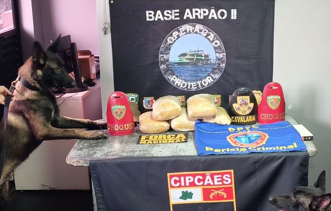 PM apreende dois carregamentos de droga em uma única embarcação no AM