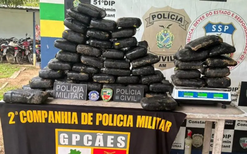 PC-AM e PMAM apreendem maconha avaliada em R$ 1,1 milhão, em Benjamin Constant