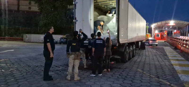 Alerta do Pará leva polícia a apreender 150 kg de skunk que sairiam de Manaus para Belém