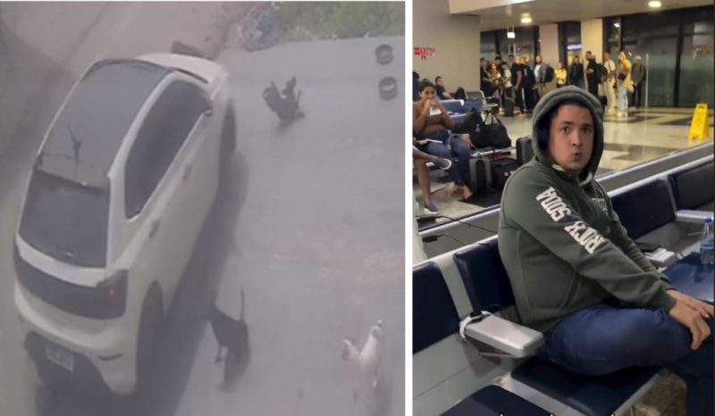 VÍDEO: Motorista que atropelou cachorros é preso no aeroporto ao tentar fugir de Manaus