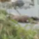 Corpo de homem é encontrado com sinais de violência em Manaus