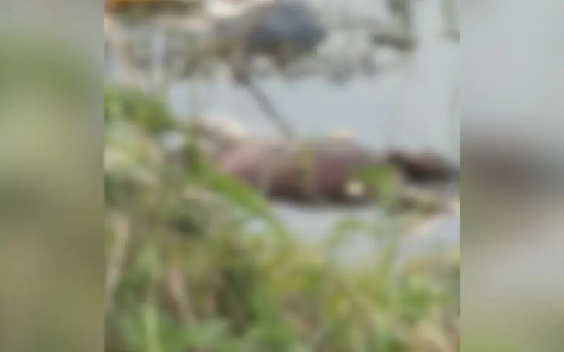 Corpo de homem é encontrado com sinais de violência em Manaus