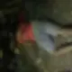 Homem é executado a tiros em beco da Compensa