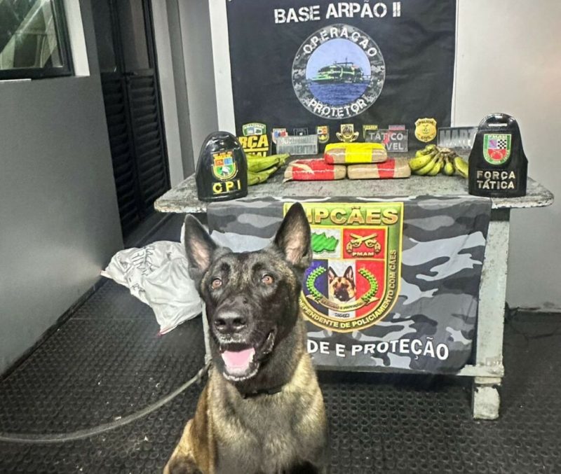 Mais de 14 kg de drogas escondidas em bananas e caixas de equipamentos são apreendidas no interior do AM