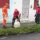 'Lacoste' é resgatado por bombeiros no bairro Cidade Nova