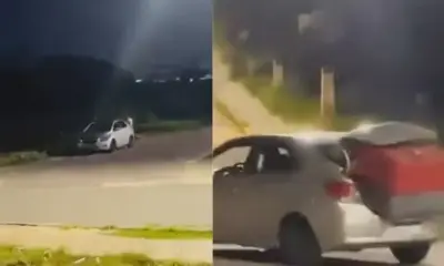 Motorista furta casinha de cães de rua na avenida das Torres