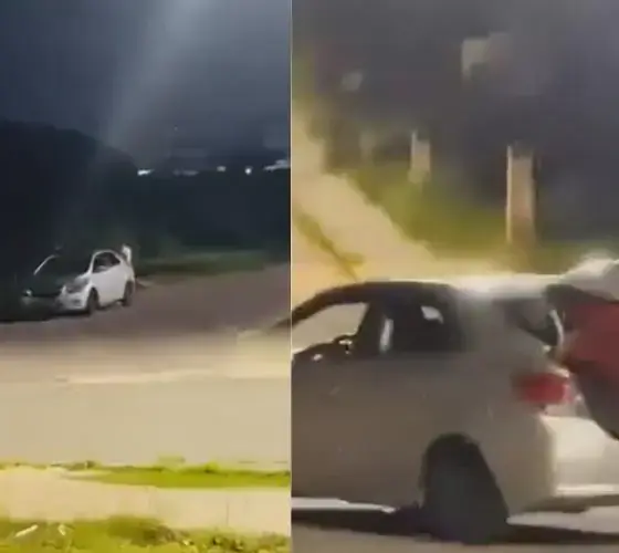 Motorista furta casinha de cães de rua na avenida das Torres
