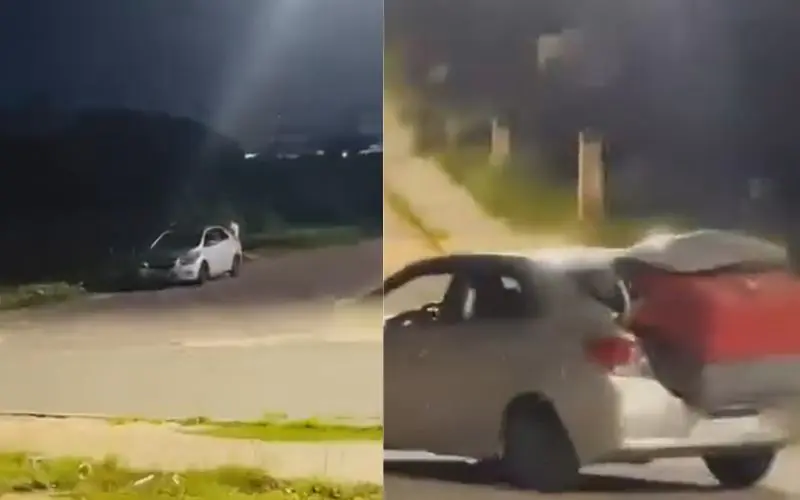 Motorista furta casinha de cães de rua na avenida das Torres