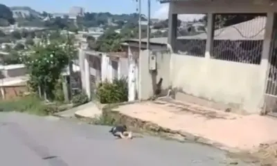 Assaltante morre após invasão a residência no Campos Salles