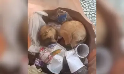 Crânio humano é achado em lixeira no Centro de Manaus
