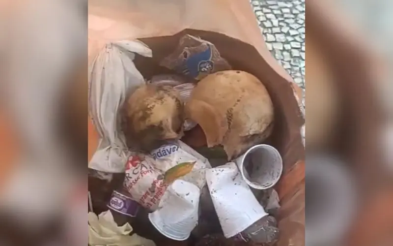 Crânio humano é achado em lixeira no Centro de Manaus