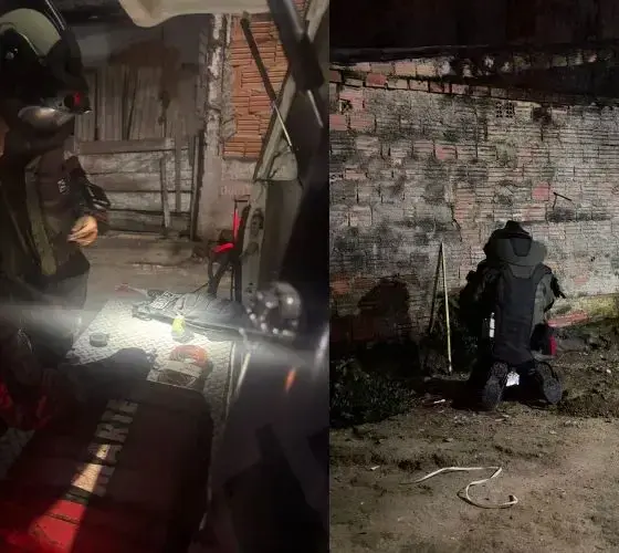 Granada é encontrada por criança em quintal de residência no Japiim