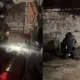 Granada é encontrada por criança em quintal de residência no Japiim
