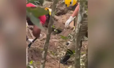 Homem é encontrado morto em cova rasa no bairro da União