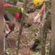 Homem é encontrado morto em cova rasa no bairro da União