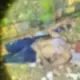 Homem é executado a facada e tiros no bairro Novo Aleixo