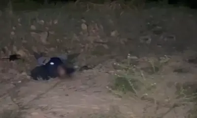 Homem é encontrado morto em área de mata na BR-174