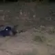 Homem é encontrado morto em área de mata na BR-174