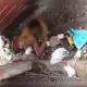 Homem é encontrado morto em beco no Centro de Manaus