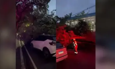 Árvore cai sobre carro na avenida Getúlio Vargas e mobiliza Bombeiros