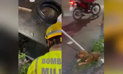 'Caramelos' saem na porrada, caem em bueiro e são resgatados no Tancredo Neves